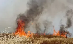 Derince-Taşlıca köyleri arasında yangın!