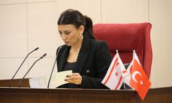 Özdanefe "Nüfusun kontrolsüz olmasının endişe verici"