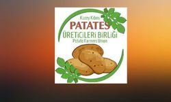 Patates Üreticiler Birliği: “Bazı marketlerin fahiş kar oranlarından ötürü fiyatlar 140 TL’ye kadar çıktı”