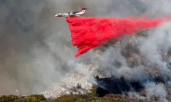 Los Angeles'ta şiddetli rüzgarlar nedeniyle yangınlar büyüyor