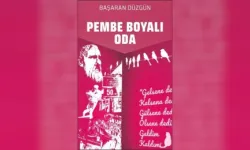 Gazeteci-Yazar Başaran Düzgün’den yeni kitap: Pembe Boyalı Oda