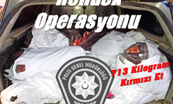 Demirhan’da “Hendek Operasyonu”: 713 kilogram kaçak et tespit edildi, 1 kişi tutuklandı