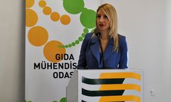 Gıda mühendislerinden “Dünya Süt Günü” mesajı: “Bilimsel temelli üretim ve denetim şart”