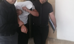 Tecavüz zanlısı mahkemeye çıkarıldı