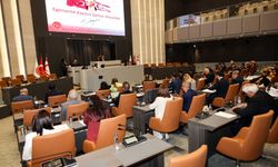 Para Kambiyo ve İnkişaf Sandığı İşleri Dairesi Yasa Tasarısı'nın ivedilikle görüşülmesine onay verildi