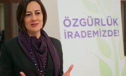 Derya: “Çocukların Cinsel Sömürüye ve İstismara Karşı Korunması Sözleşmesi'ni Meclis’e sunduk”