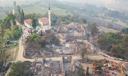 Orman yangınlarına havadan ve karadan müdahale ediliyor