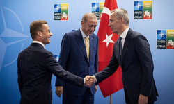 İsveçli diplomat, NATO görüşmesinin notlarını tuvalette unuttu