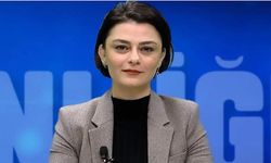 Aslı Murat'tan “Huzur Operasyonları”na eleştiri: “Görüntüler hukuk devleti ilkeleriyle bağdaşmıyor”