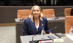 Mecliste sabıka kaydının silinmesi yasa önerisi görüşüldü