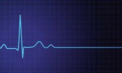 Paşaköy’de askeri bölgede bir evde kadın cesedi bulundu