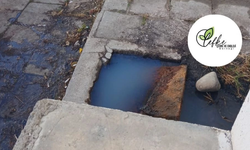 Lefke Çevre ve Ekoloji Derneği: Lağım suları halk sağlığını tehdit ediyor!