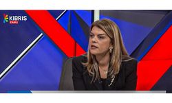 Ayşe Öztabay Ev İçi Şiddet Yasası geçmeden kadınlar güvende değil