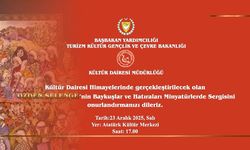 Özden Selenge'nin "Baykuşlar ve Hatıraları Minyatürlerde" sergisi 23 Aralık Salı akşamı açılacak