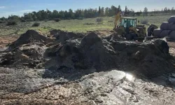 Alayköy Ağıllar Bölgesi’nde ağılda yangın