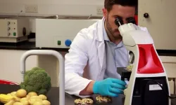 Haftalık gıda denetimi: 4 üründe limit üstü pestisit tespit edildi