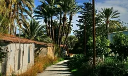 Lefke Çevre Ekoloji Derneği: Lefke’de altyapı ve çevre sorunları derinleşiyor