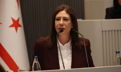 İncirli: Hükümet derhal istifa etmeli