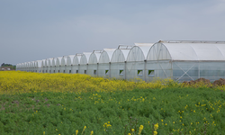 Tarım ve Doğal Kaynaklar Bakanlığı 2025 fide destek ödemelerini yaptığını duyurdu
