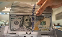 Dolar rekor tazeledi