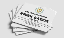 Asgari ücret tavsiye kararı Resmi Gazete’de yayımlandı