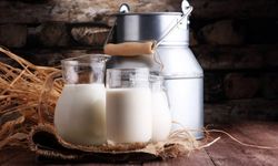 Tarım Bakanlığı, inek, koyun ve keçi sütü alım fiyatları ile devlet desteklerini artırdı