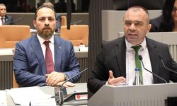 Meclis'te gündem narenciye