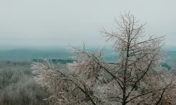 Yarın, pazar ve pazartesi sabah saatlerinde don olayı bekleniyor