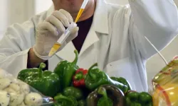 Gıda denetimleri… 6 yerli üründe limit üstü bitki koruma ürünü tespit edildi