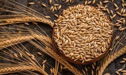 4 bin 500 ton arpanın yarın sabah Gazimağusa Limanı’na ulaşması bekleniyor