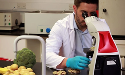 Haftalık gıda denetimleri… 3 üründe limit üstü bitki koruma ürünü tespit edildi