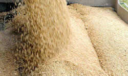 TÜK yemlik arpanın çarşamba günü gelmesinin beklendiğini açıkladı