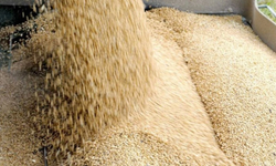 TÜK, arpa sevkiyatının olumsuz hava koşulları nedeniyle tamamlanamadığını duyurdu