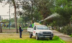 LTB: "Çam kese böceğiyle mücadele kapsamında yürütülen biyolojik çalışmalar somut ve başarılı sonuçlar verdi"