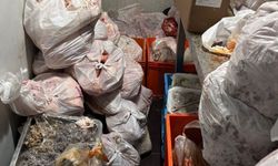 Gazimağusa’da bir restoran mühürlendi