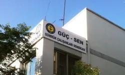 Güç-Sen tüm bölgelerde genel grev kararı aldı