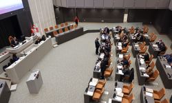 Meclis denetim göreviyle toplandı