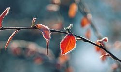 Meteoroloji uyardı: Bugün yer yer don bekleniyor