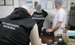 Lefkoşa Türk Belediyesi Halk Sağlığı şubesi, iş yerlerini denetledi