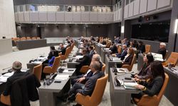 Genel Kurul, denetim göreviyle toplanacak