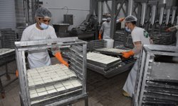 KTSO: “Yeşil Hat üzerinden hellim ihracatındaki engel kalkıyor”