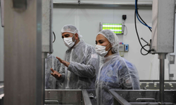 Değirmenlik Akıncılar Belediyesi Sağlık Şubesi, 81 iş yerini denetledi