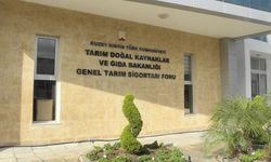 Dolu ve fırtına zararları için son başvuru 4 Eylül