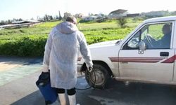 Güney Kıbrıs’ta şap salgını kontrol altına alındı