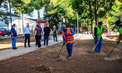 Kumsal Parkı’nda peyzaj çalışmaları sürüyor