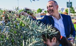 Öğrenciler Kızılbaş Parkı’nda zeytin hasadı yaptı