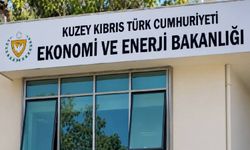 Batı Nil virüsü sonrası sinek ilaçlarına denetim