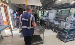 Kaplıca’da restoranlara denetim: 4,5 kilo balığa el konuldu
