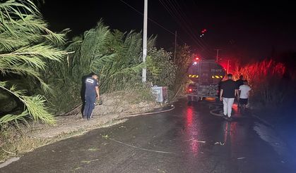Antalya ve Muğla'daki orman yangınlarına müdahale sürüyor