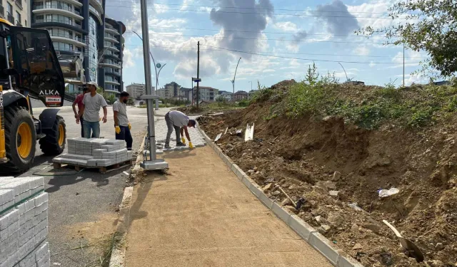 Çayırova Millet Bahçesine çevre yolu ve aydınlatma